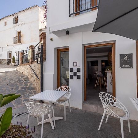 Olive & Ivy Guesthouse Canillas de Aceituno Dış mekan fotoğraf