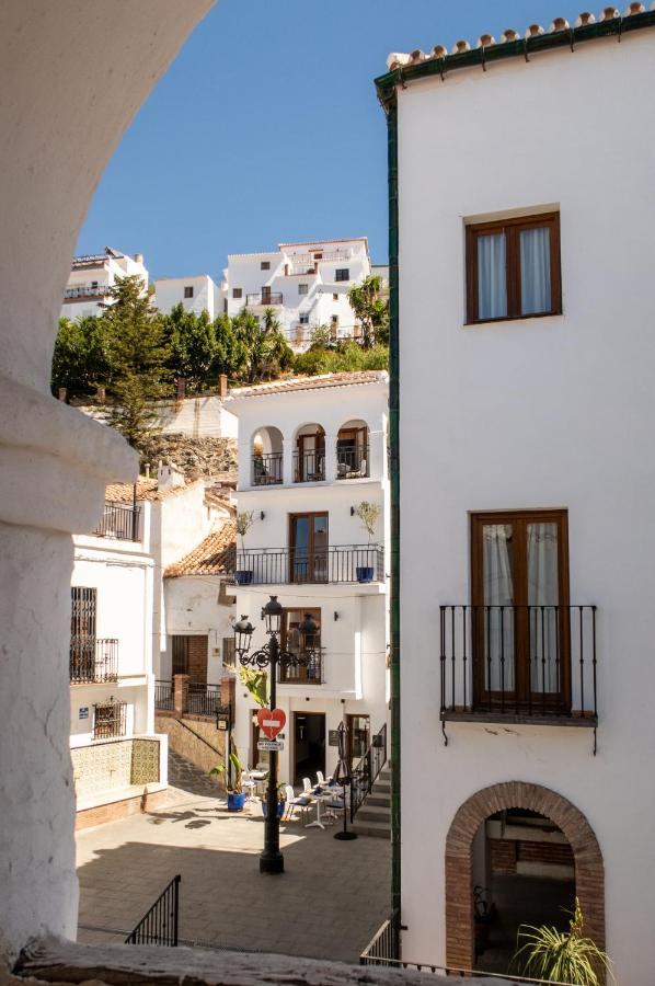 Olive & Ivy Guesthouse Canillas de Aceituno Dış mekan fotoğraf