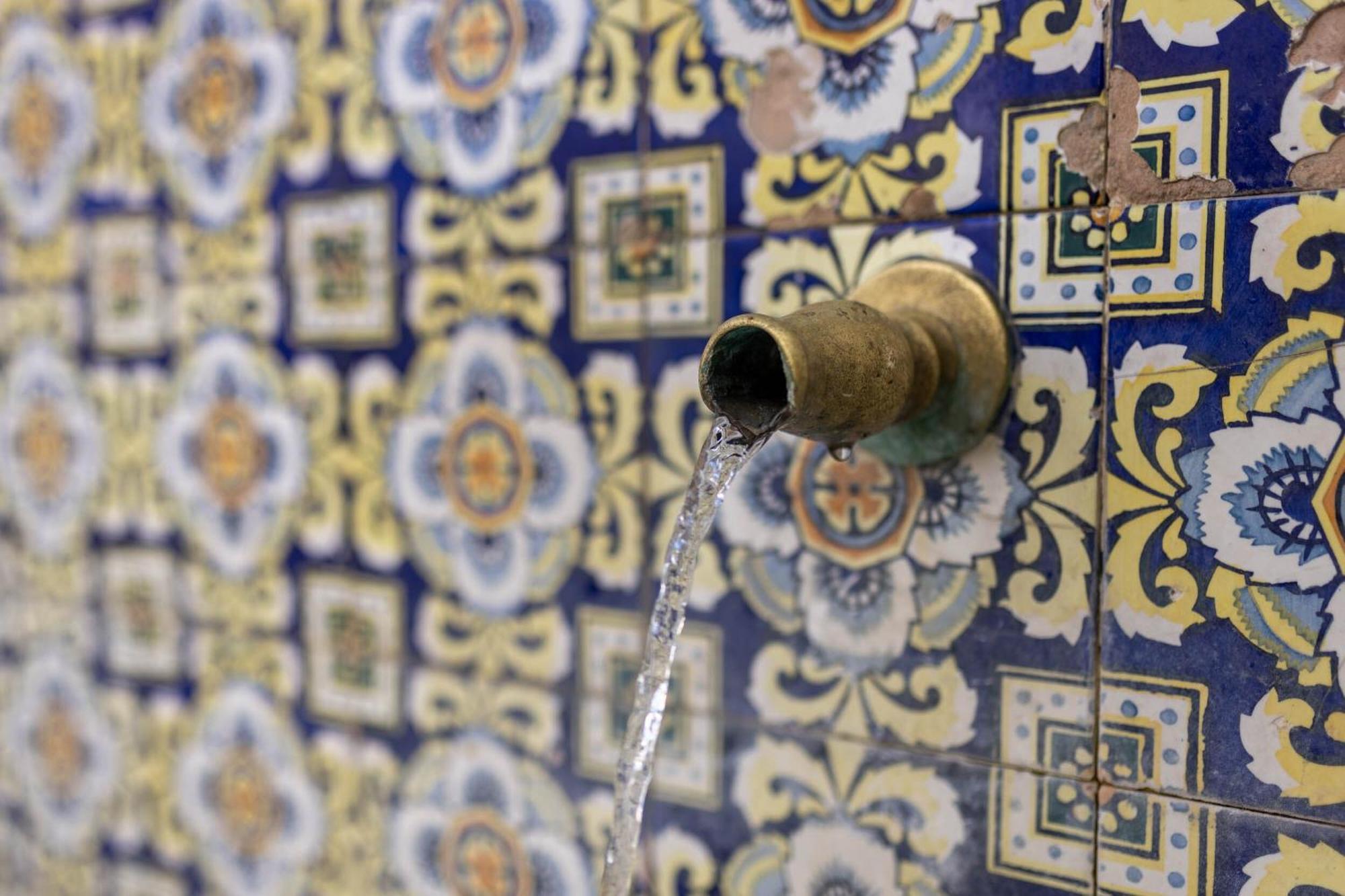 Olive & Ivy Guesthouse Canillas de Aceituno Dış mekan fotoğraf