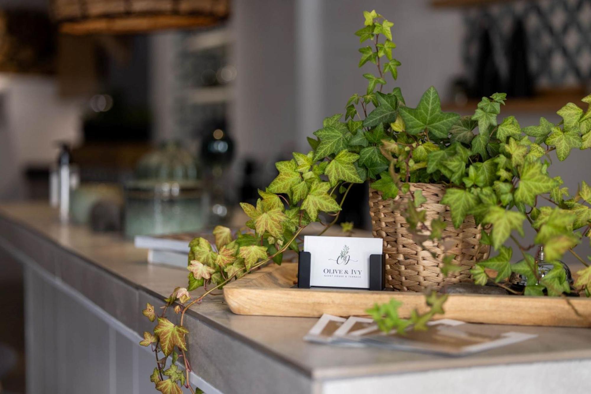 Olive & Ivy Guesthouse Canillas de Aceituno Dış mekan fotoğraf