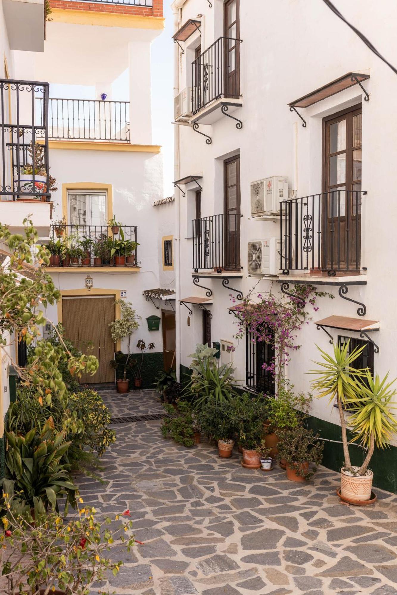 Olive & Ivy Guesthouse Canillas de Aceituno Dış mekan fotoğraf